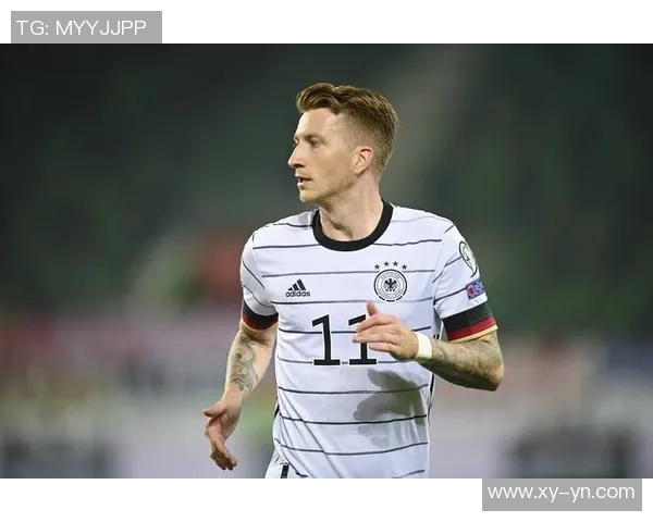 德国足球明星罗伊斯的辉煌职业生涯与对国家队的贡献分析